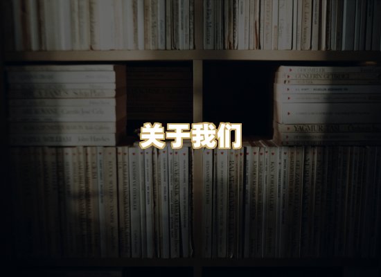 关于我们